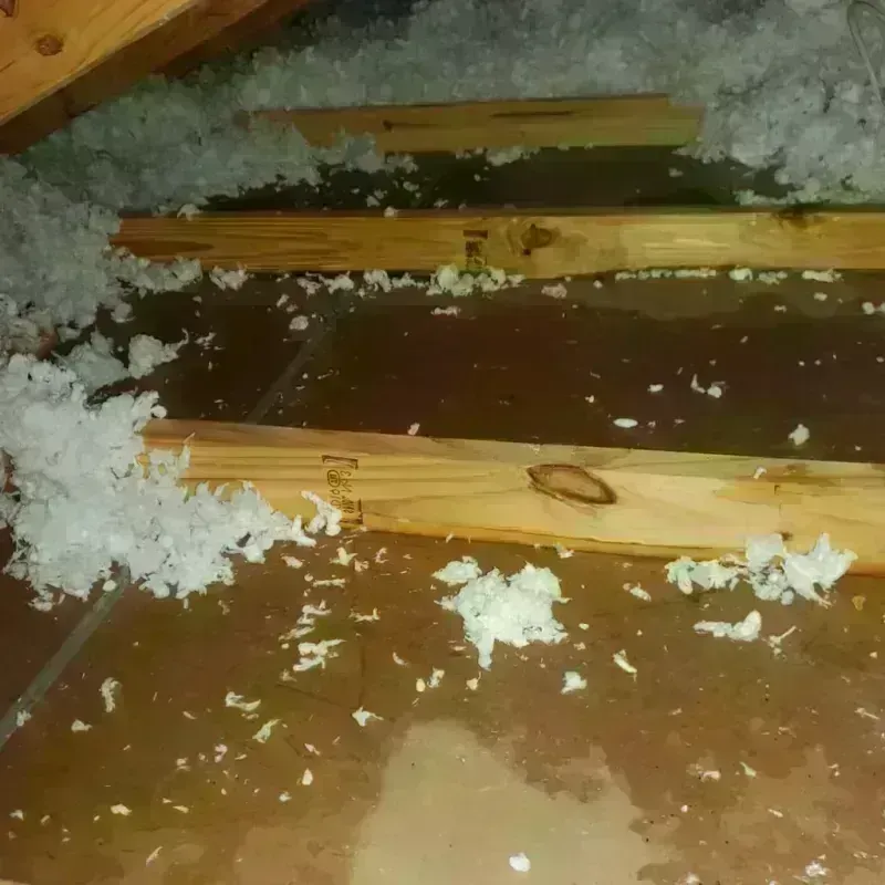 Attic Water Damage in Conover, NC